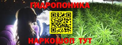 ешки Вышний Волочёк