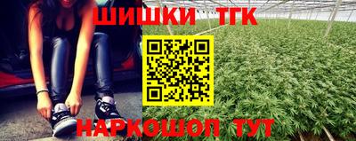 индика Вязники
