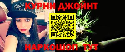 индика Вязники