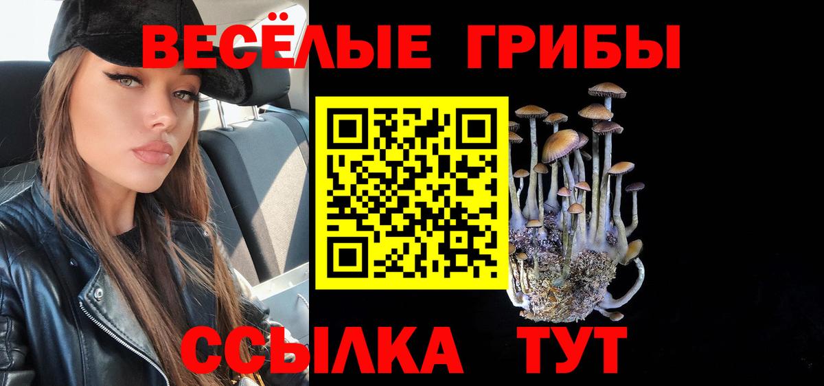 Псилоцибиновые грибы Magic Shrooms Вичуга