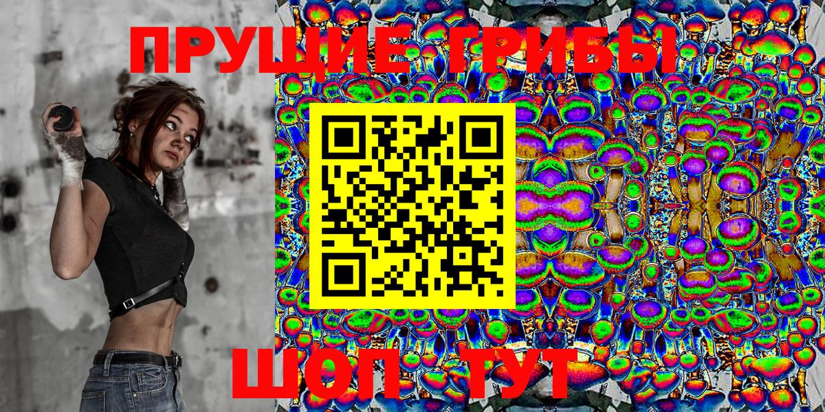 Вичуга  Галлюциногенные грибы Magic Shrooms  Вход с VPN 